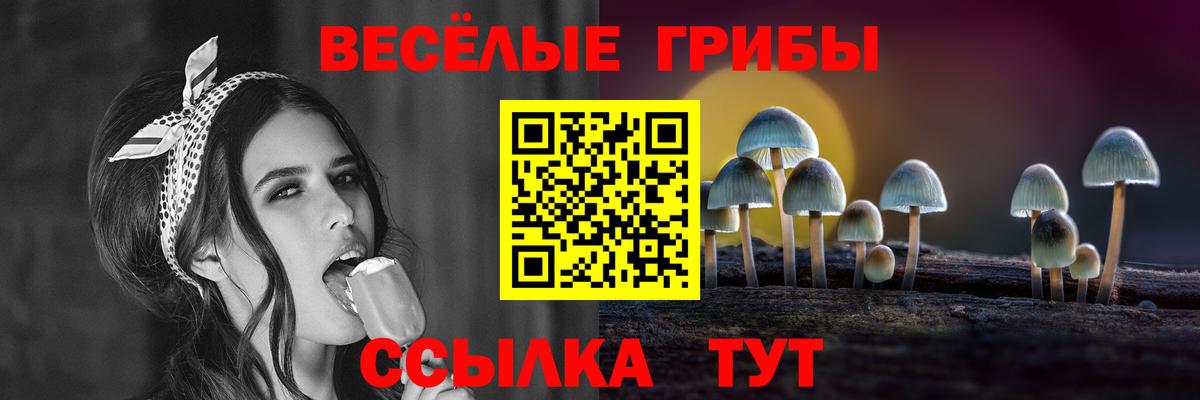 Лангепас  где купить   Вход с VPN  Псилоцибиновые грибы мицелий 